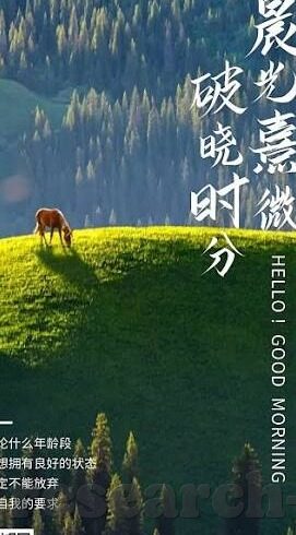 河内足球比分-河内足球比分，赛场风云的数字密码与城市足球热忱