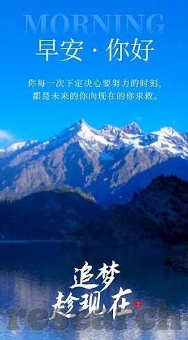 球探网比分直播足球-深度解析，球探网比分直播如何成为足球迷的第二块屏幕