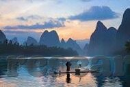森林舞会的卡通插图-森林舞会的奇妙世界，卡通插图中的自然韵律与梦幻色彩